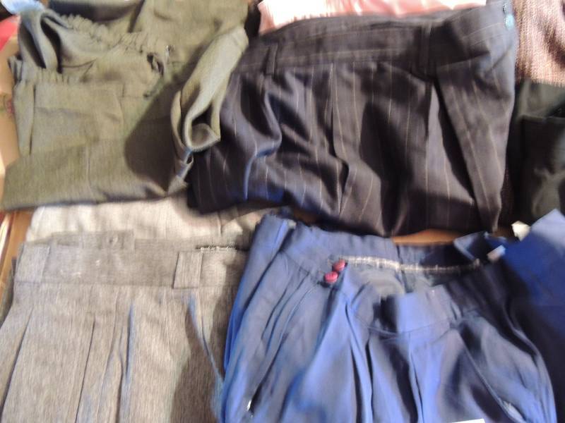 lot 103 image: Womens pants, slacks & skirts- ski...
