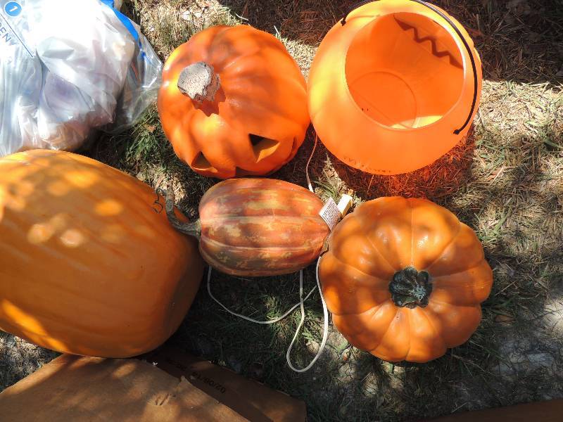 lot 150 image: 8 pumpkins all colors...