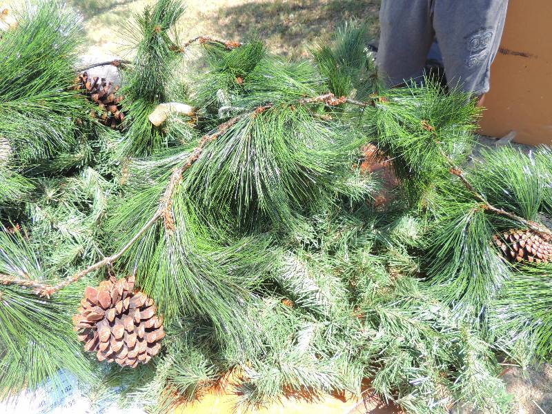 lot 152 image: Garland 9 ft has heavy greenery wit...