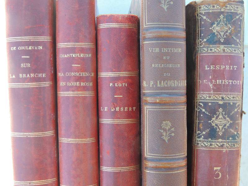lot 221 image: Lotti French,, Le Desert vol. 3,  ...