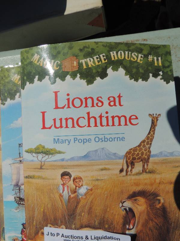 lot 254 image: Kids books x 14 - MAGIC TREE HOUSE,...