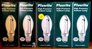 lot 109 image: Plusrite 2002  LU70MED  70W HPS S62 Light Bulb (5X$)