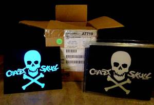 lot 132 image: ULTIMATE COOL - CG NOVELTIES CRAZY SKULL LED SOUND ACTIVATED PATCH (FOR DISPLAY OR T-SHIRTS VIA 2 WAY TAPE - SEE PIC 3) EACH UNIT IS BATTERY POWERED WITH ADJUSTBLE SETTING - REACTS TO ANY SOUND (15X$)