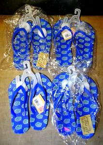lot 211 image: NCAA UNIVERSITY SPIRIT CHILDRENS FLIP FLOPS - FLORIDA GATORS (4X$)