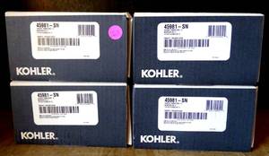 lot 263 image: NEWSEALED - KOHLER 45981-SN 72 AWAKEN RIBBON HOSE (4X$)