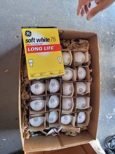 lot 263 image: BOX LOT OF LIGHT BULBS.