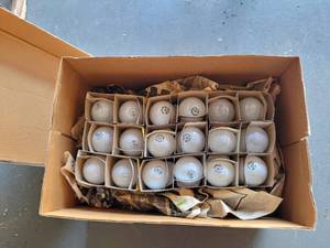 lot 279 image: BOX LOT OF LIGHT BULBS.