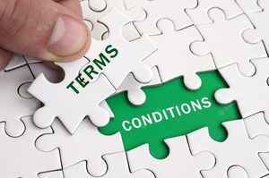 lot 6 image: TERMS & CONDITIONS