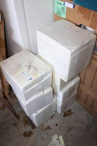 lot 224 image: (7) styrofoam coolers (most have ice packs inside)