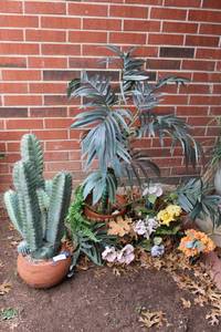 lot 365 image: Artificial cactus and flowers
