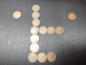 lot 65 image: (14) US Indian Head pennies from 1884-1907