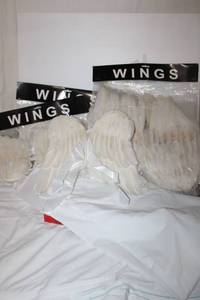lot 105 image: Angel Costumes Feather wings and white gowns