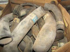 lot 8 image: Box of radiator hoses for all types of vehicles