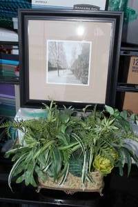 lot 40 image: Black and White Framed Art Picture and Greenery Planter in Beautiful Porcelain Container