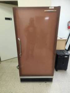 lot 49 image: Sears Coldspot freezer - full of seeds (3k worth of seeds) seeds have been in cold storage.