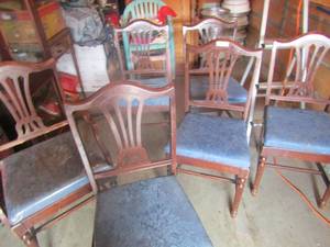lot 84 image: Brown with blue seating dining chairs qty 6 includes 1 captains chair, good condition