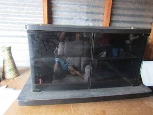 lot 111 image: Rolling black tv table with glass front doors inside 2 tier shelving, 173121