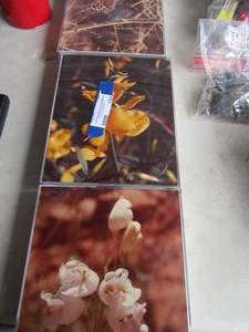 lot 190 image: Roznugth framed photos qty 3 sizes of all 108