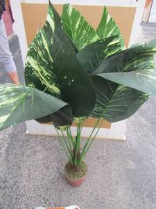 lot 136 image: Wax elephant ear plant in ceramic pot, used for home dcor