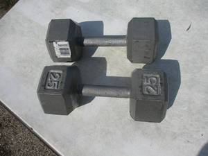 lot 29 image: 2- 25-Lb. Cast Iron Solid Hexagon Gray Dumbbells, Strength Training Free Weights Set of 2 for Women and Men