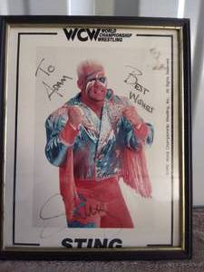 lot 37 image: Vintage WCW Sting Autographed 8x10--Not Authenticated