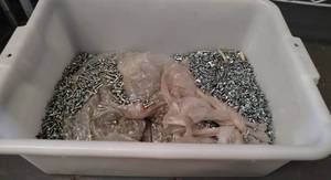 lot 72 image: LOT OF SCREWS AS SHOWN.