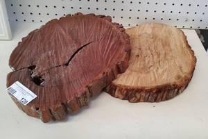 lot 128 image: DECORATIVE TREE TRUNK SLICES AS SHOWN.