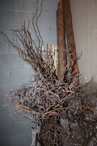 lot 56 image: Cedar and Birch logs Plus generous amount of Curly Willow branches