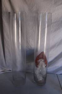 lot 231 image: (6) 5x24 Clear round vases
