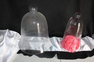lot 265 image: Clear glass bell jar domes with white silk table runners and flower petals