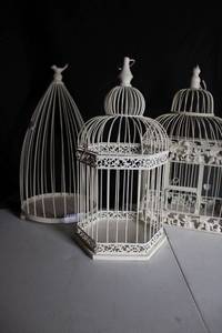 lot 210 image: (3) White birdcages
