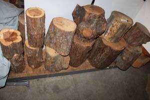 lot 123 image: Wood trunk stumps - sizes 5 x 6 to 12 x 14 approx.