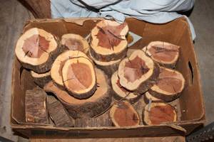 lot 124 image: Smaller Wood slices - 2 x 5 approx.