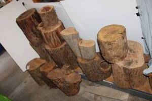 lot 126 image: Wood trunk stumps - sizes 5 x 6 to 12 x 14 approx.