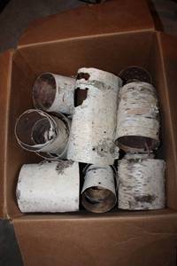 lot 133 image: Decorative Round Birch Bark Pieces