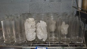 lot 292 image: Clear vases - mostly 3.5x8 approx. 32