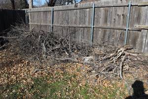lot 166 image: Small Limb Pile as Shown in Pictures, for Starter wood, or chips