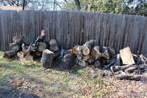 lot 167 image: Selection of Cut Wood in Sizes and Quantity as Shown in Pictures,... Charlie NOT Included