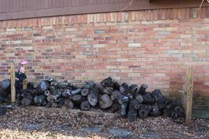 lot 168 image: Fire Wood in Sizes and Quantity as Shown in Pictures.. Fire Wood Holders included. .. Charlie NOT Included