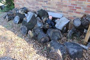 lot 169 image: Fire Wood in Sizes and Quantity as Shown in Pictures... .. Charlie NOT Included