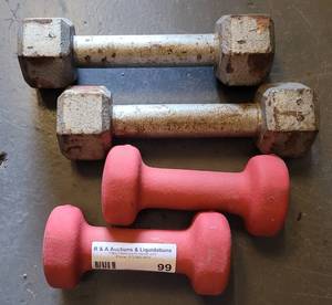 lot 99 image: FREE WEIGHTS AS SHOWN.