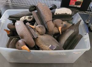 lot 252 image: LOT OF DUCK DECOYS AS SHOWN.