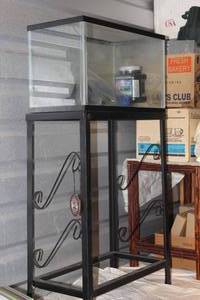 lot 133 image: Ten Gallon Fish Tank with stand, pump, and other accessories