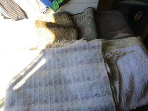 lot 67 image: Various used door entry way rugs, Native American rug size unknown but medium , qty 7 total various sizes