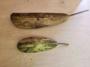 lot 110 image: Pair of brass leat wall hangers