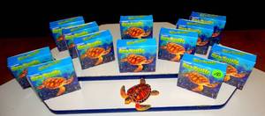 lot 10 image: NEW POLYRESIN LIFELIKE TURTLE - ONE DOZEN NEW IN BOX (12X$)