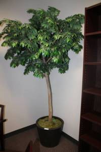 lot 4 image: Artificial 7 Tree with 20W x 16H vase