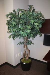 lot 50 image: 7 Artificial Tree with 16W x 13.5H Vase