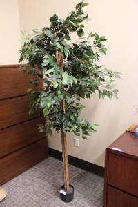 lot 90 image: Artificial 6ft. Ficus tree