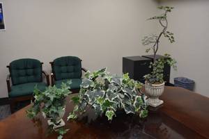lot 157 image: Artificial plants as shown